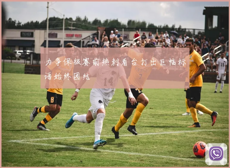 力争保级赛前热刺看台打出巨幅标语始终团结