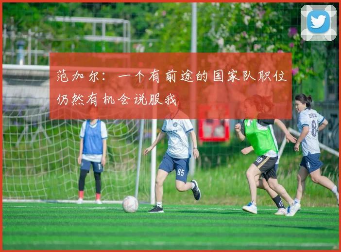 范加尔：一个有前途的国家队职位仍然有机会说服我