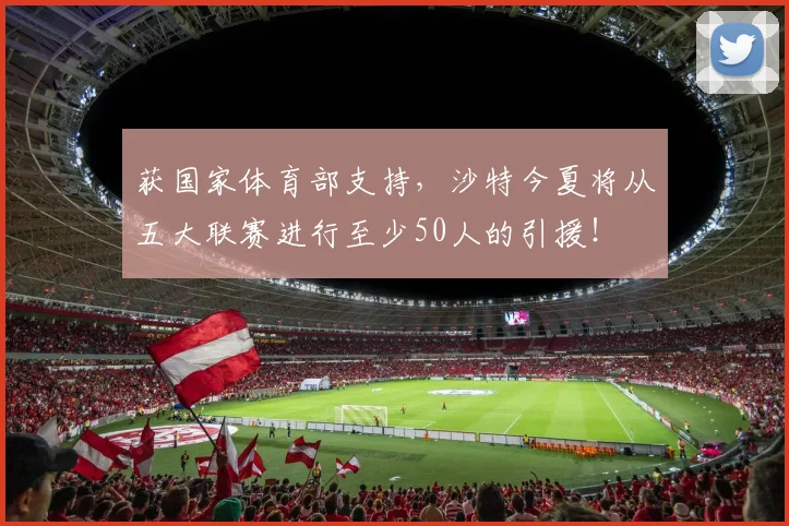 获国家体育部支持，沙特今夏将从五大联赛进行至少50人的引援！